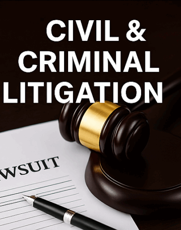 Criminal Litigation3